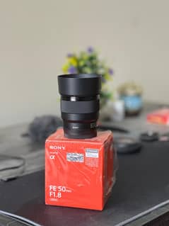 Sony