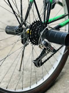 Phoenix Bicycle 10/10 Condition