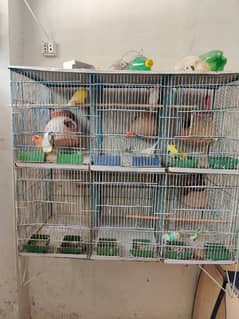 Cage