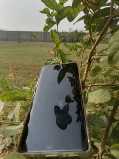 LG