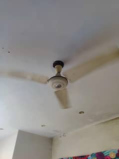 Fan for sale