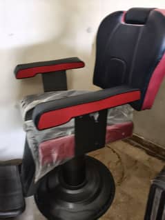 Salon Chair
