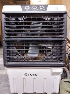 Toyo