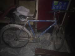 Bicycle Condition 10/10