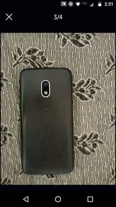 g4