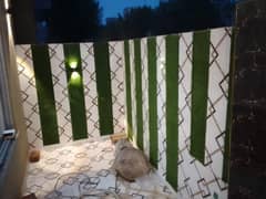 Luxurious 5 Marla House for Sale in Bahria Orchard G Block