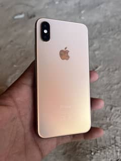 Xs