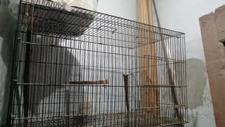 Cages
