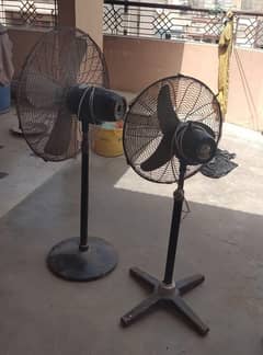 stand