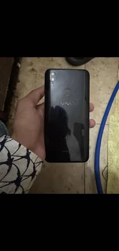 vivo