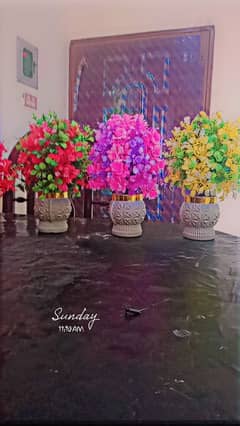 flower