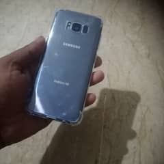 Samsung s8 single sim approved
