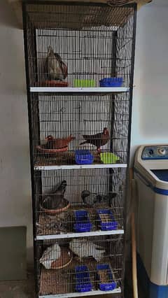4. poshn cages 2. available hai or 1.8 poshan wala b available hai