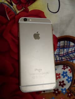 iphone 6