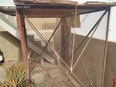 birds cage