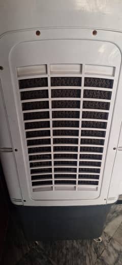 Air cooler