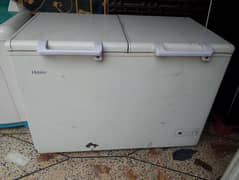 Haier