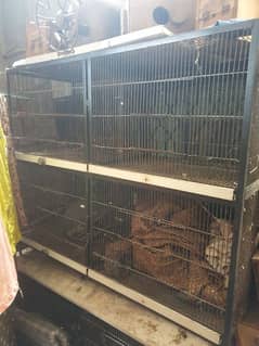 Cages