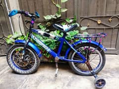8 years child bicycle china wali heavy frame for sale.