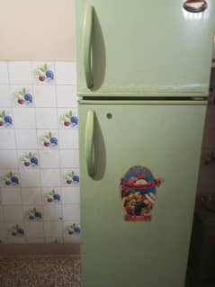 singer Fridge