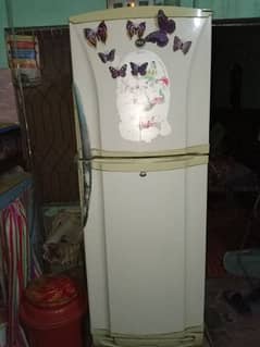 PEL fridge sale urgent