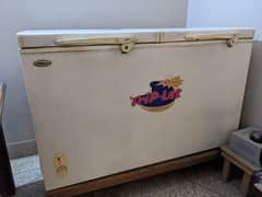 Double door deep freezer