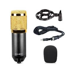 BM 800 Microphone