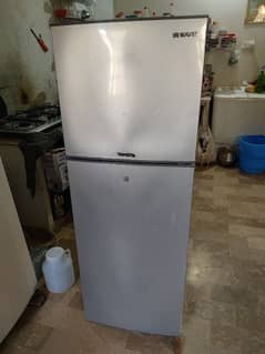 waves medium Refrigerator