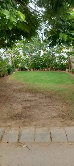 Vey Low Coast Budget Plot For Sale