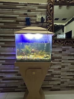 aqurim