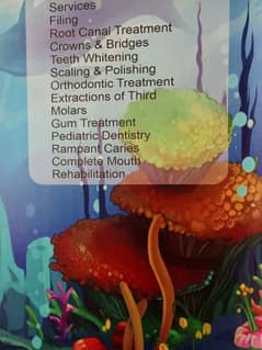 dental surgeon required