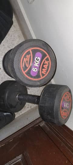TOP notch export leftovers Dumbbells 6kgs