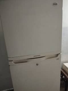 No Frost Samsung fridge with steblizer