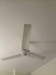 Premier Quality Fans (Pak Fan, GFC Fan, Omega Fan)