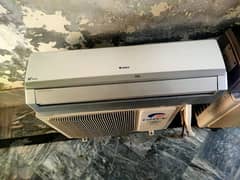 new cdsn MN hi dino ac