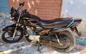 yamaha ybz dx 2024