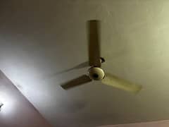 ceiling fan