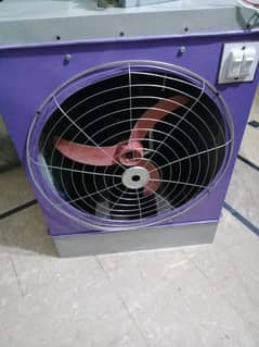 new fan