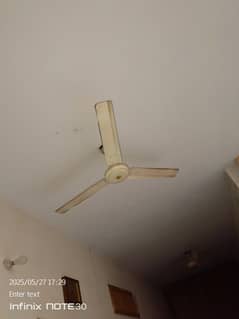 Ceiling Fans