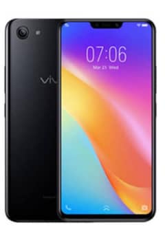 Vivo