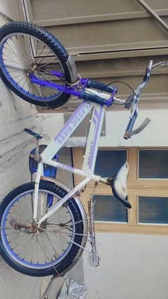 Classic bicycle