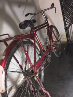 Cycle sale