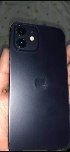 03247462031
