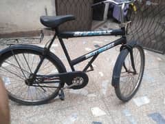 cycle for sale