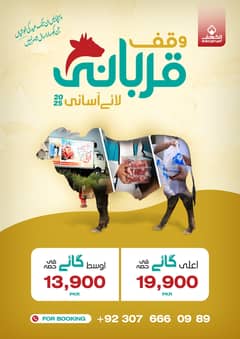 ijtamai qurbani 2025 | aasaan Qurbani | wacha | Cow | Bachra | qurbani