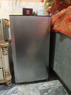 PEL single door fridge