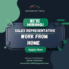 Work From Home - Social Media Customer Dealing - Chat based
