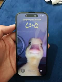 I phone 15 Jv