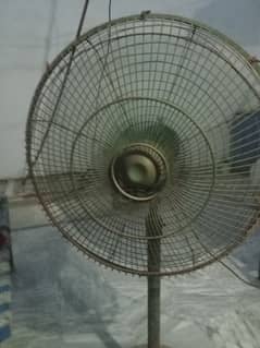 padicstal fan