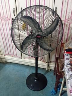 royal padestal fan